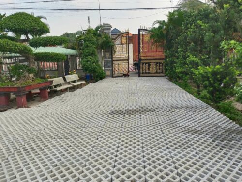 gạch trồng cỏ 8 lỗ